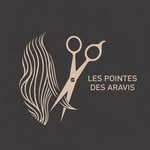 LES POINTES DES ARAVIS_logo